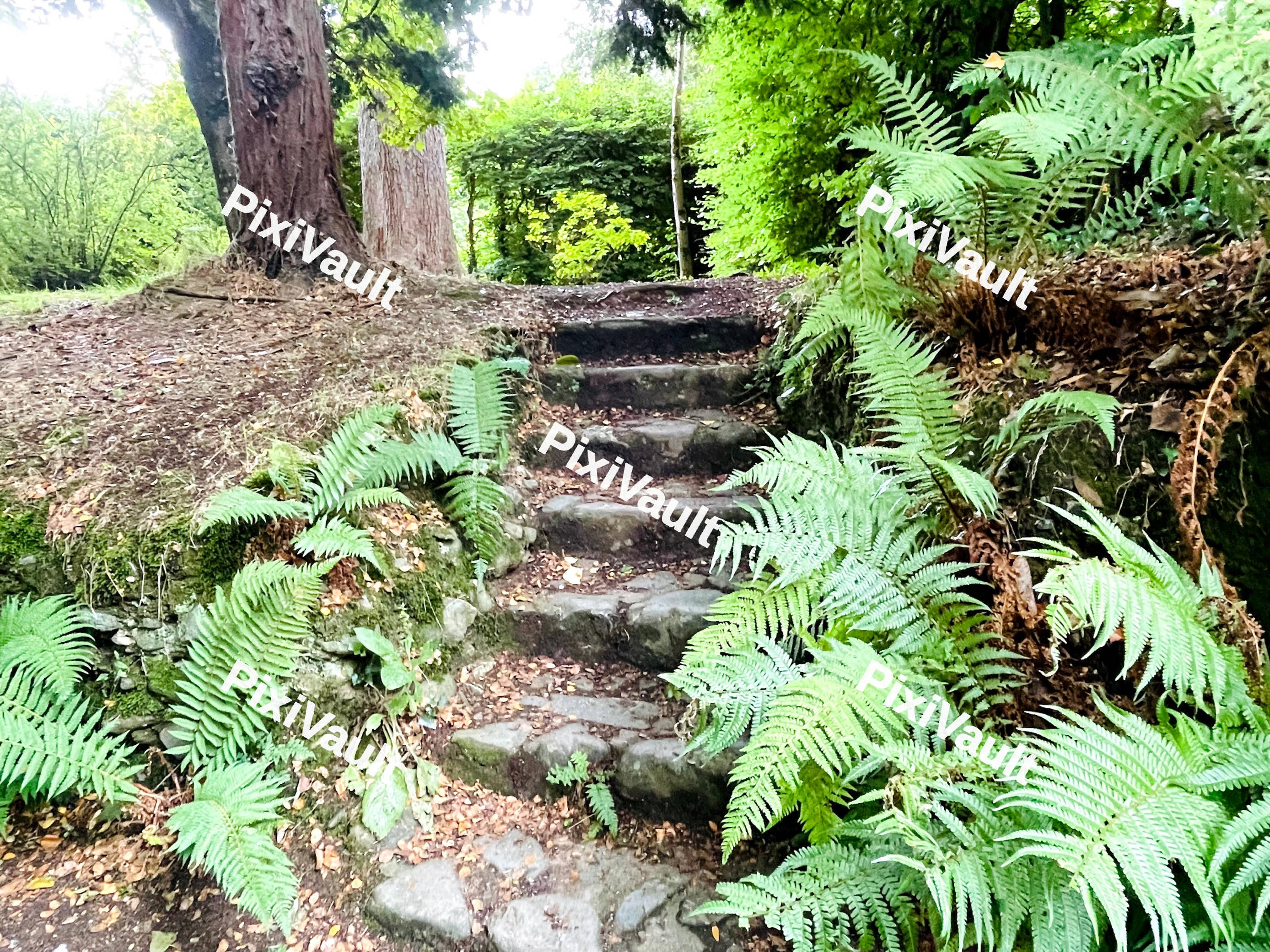 Stone Walkaway